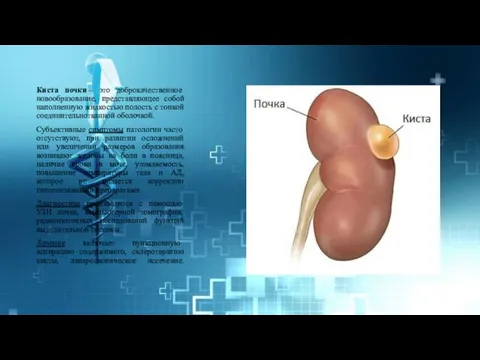 Киста почки – это доброкачественное новообразование, представляющее собой наполненную жидкостью полость