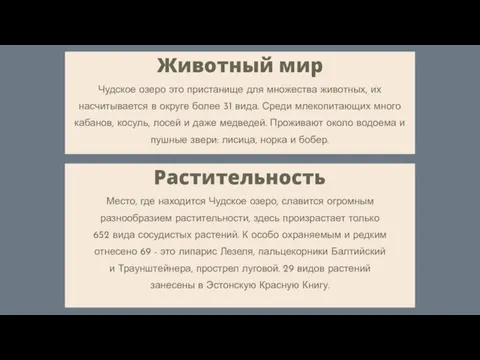 Животный мир Чудское озеро это пристанище для множества животных, их насчитывается