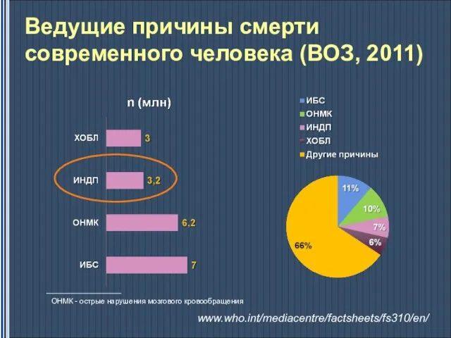 Ведущие причины смерти современного человека (ВОЗ, 2011) ОНМК - острые нарушения мозгового кровообращения www.who.int/mediacentre/factsheets/fs310/en/