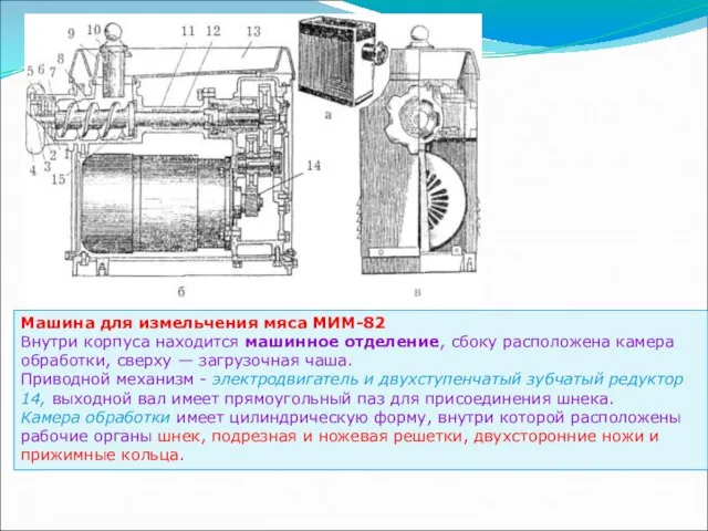 Машина для измельчения мяса МИМ-82 Внутри корпуса находится машинное отделение, сбоку