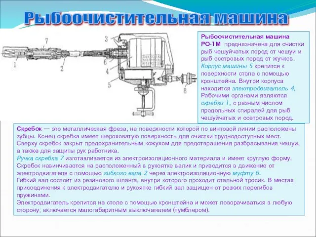 Рыбоочистительная машина Рыбоочистительная машина РО-1М предназначена для очистки рыб чешуйчатых пород