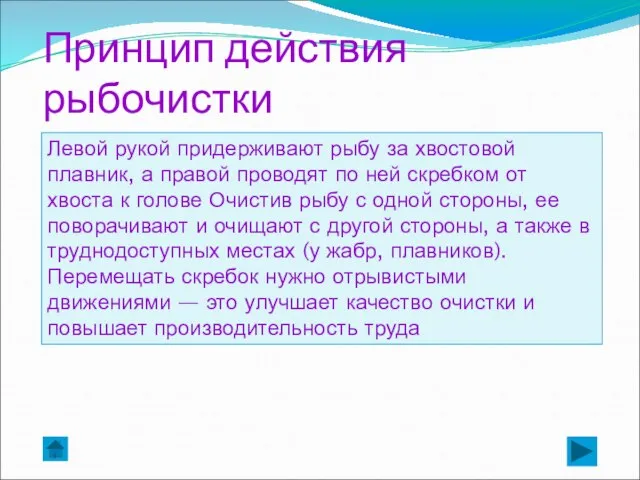 Левой рукой придерживают рыбу за хвостовой плавник, а правой проводят по