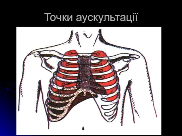 Точки аускультації