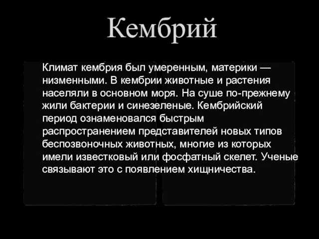 Кембрий Климат кембрия был умеренным, материки — низменными. В кембрии животные