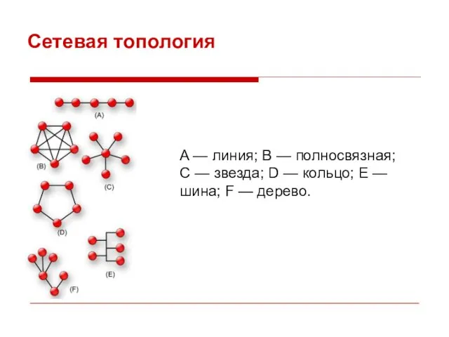 Сетевая топология A — линия; B — полносвязная; C — звезда;