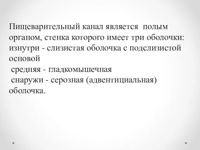 Пищеварительный канал является полым органом, стенка которого имеет три оболочки: изнутри