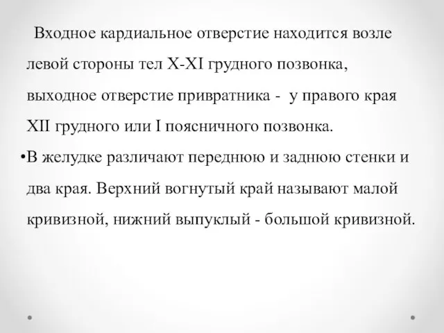 Входное кардиальное отверстие находится возле левой стороны тел X-XI грудного позвонка,