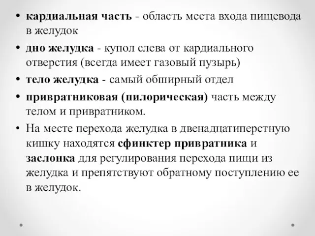 кардиальная часть - область места входа пищевода в желудок дно желудка