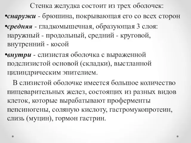 Стенка желудка состоит из трех оболочек: снаружи - брюшина, покрывающая его