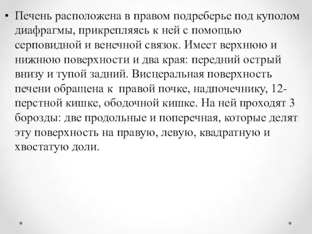 Печень расположена в правом подреберье под куполом диафрагмы, прикрепляясь к ней