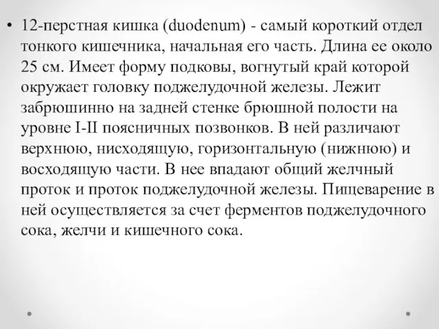 12-перстная кишка (duodenum) - самый короткий отдел тонкого кишечника, начальная его