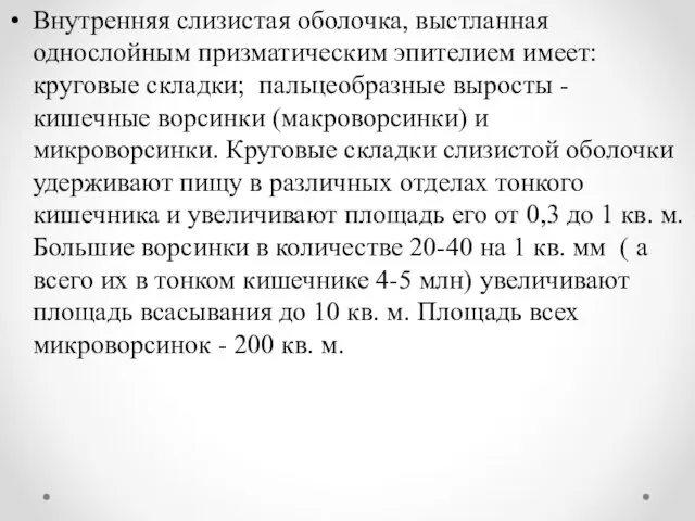 Внутренняя слизистая оболочка, выстланная однослойным призматическим эпителием имеет: круговые складки; пальцеобразные