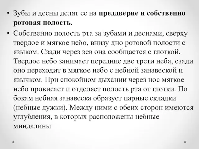 Зубы и десны делят ее на преддверие и собственно ротовая полость.