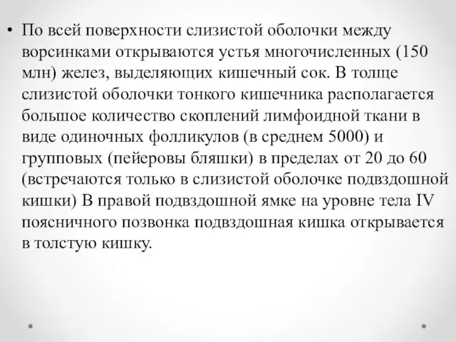 По всей поверхности слизистой оболочки между ворсинками открываются устья многочисленных (150