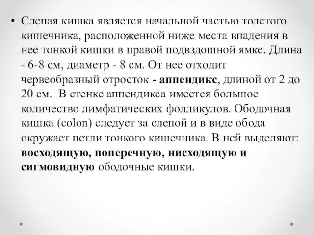 Слепая кишка является начальной частью толстого кишечника, расположенной ниже места впадения