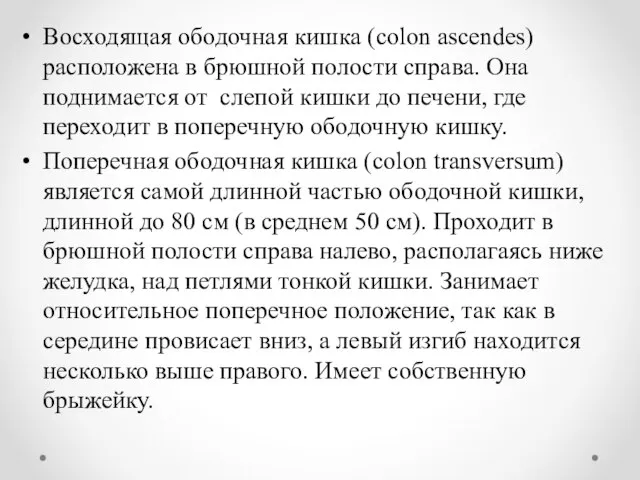 Восходящая ободочная кишка (colon ascendes) расположена в брюшной полости справа. Она