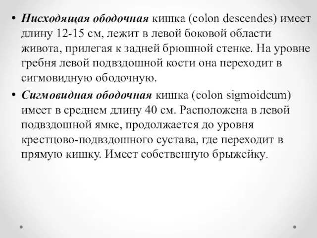 Нисходящая ободочная кишка (colon descendes) имеет длину 12-15 см, лежит в