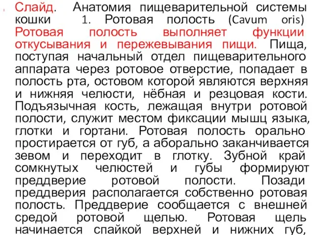 Слайд. Анатомия пищеварительной системы кошки 1. Ротовая полость (Cavum oris) Ротовая