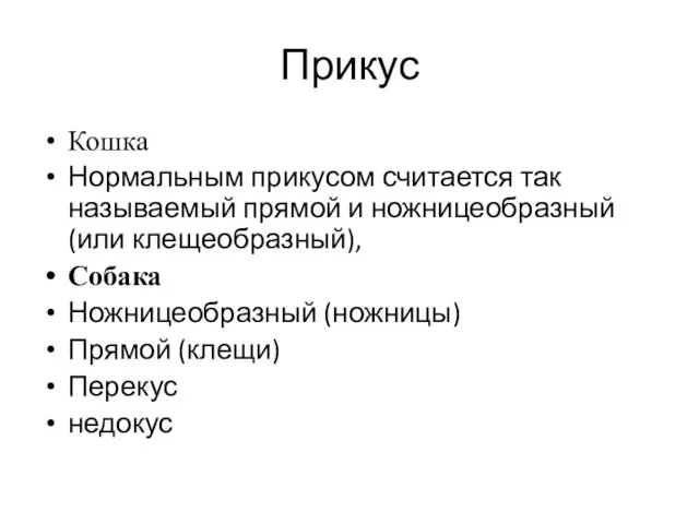 Прикус Кошка Нормальным прикусом считается так называемый прямой и ножницеобразный (или