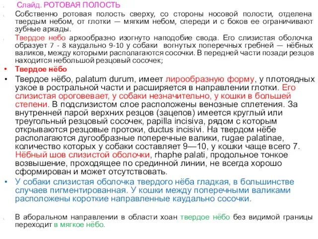 Слайд. РОТОВАЯ ПОЛОСТЬ Собственно ротовая полость сверху, со стороны носовой полости,