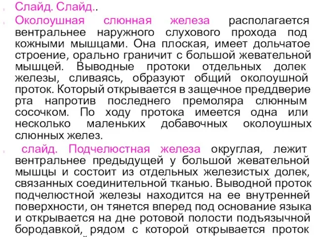 Слайд. Слайд.. Околоушная слюнная железа располагается вентральнее наружного слухового прохода под