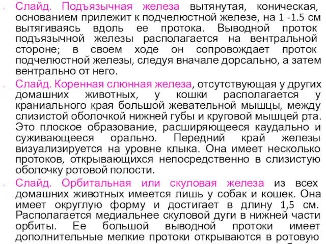 Слайд. Подъязычная железа вытянутая, коническая, основанием прилежит к подчелюстной железе, на