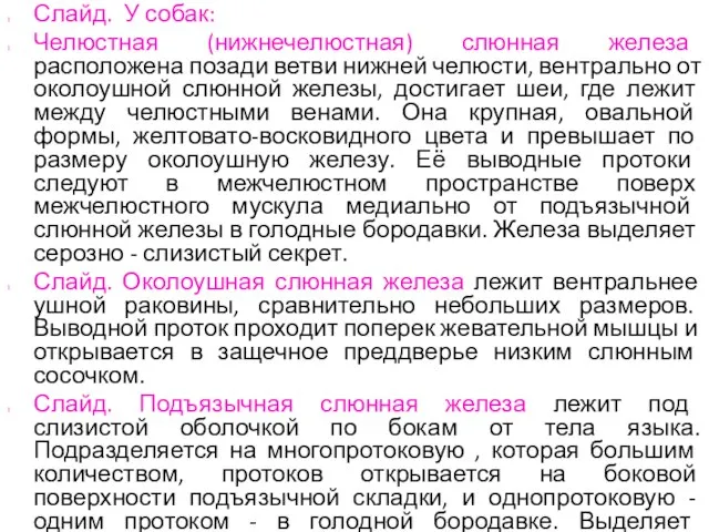 Слайд. У собак: Челюстная (нижнечелюстная) слюнная железа расположена позади ветви нижней