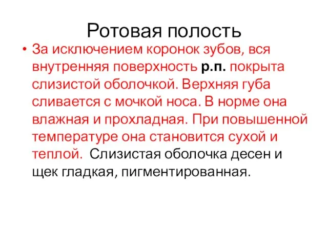 Ротовая полость За исключением коронок зубов, вся внутренняя поверхность р.п. покрыта