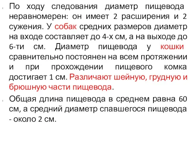 По ходу следования диаметр пищевода неравномерен: он имеет 2 расширения и