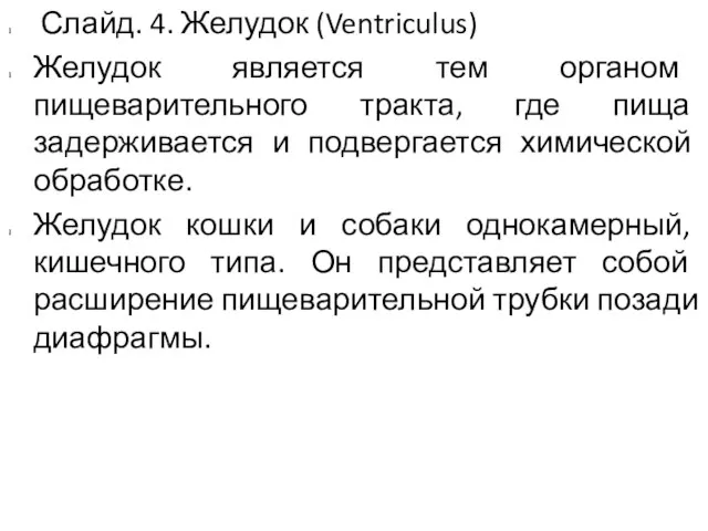 Слайд. 4. Желудок (Ventriculus) Желудок является тем органом пищеварительного тракта, где