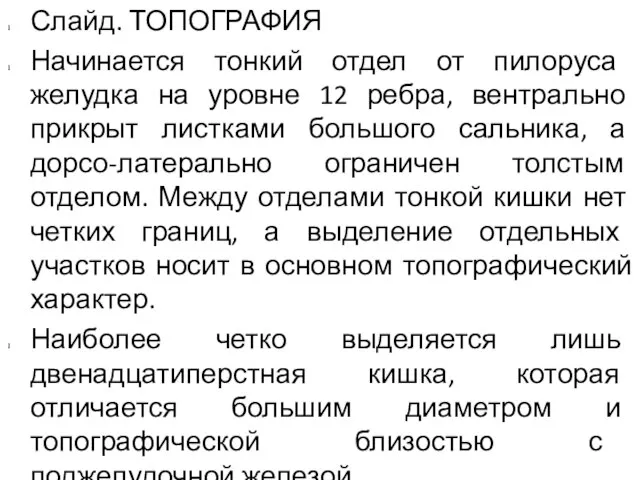 Слайд. ТОПОГРАФИЯ Начинается тонкий отдел от пилоруса желудка на уровне 12