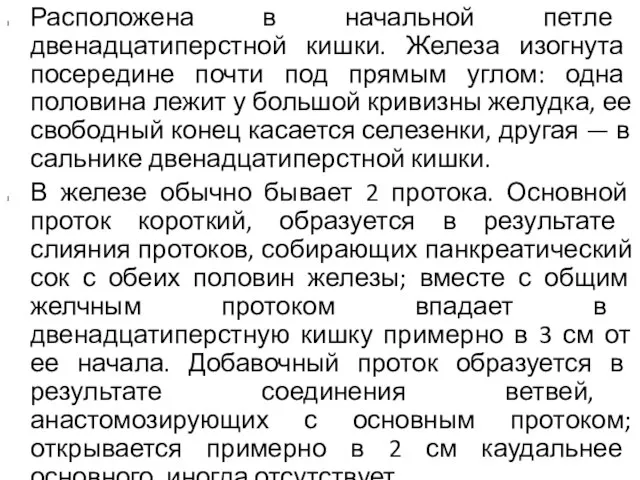 Расположена в начальной петле двенадцатиперстной кишки. Железа изогнута посередине почти под