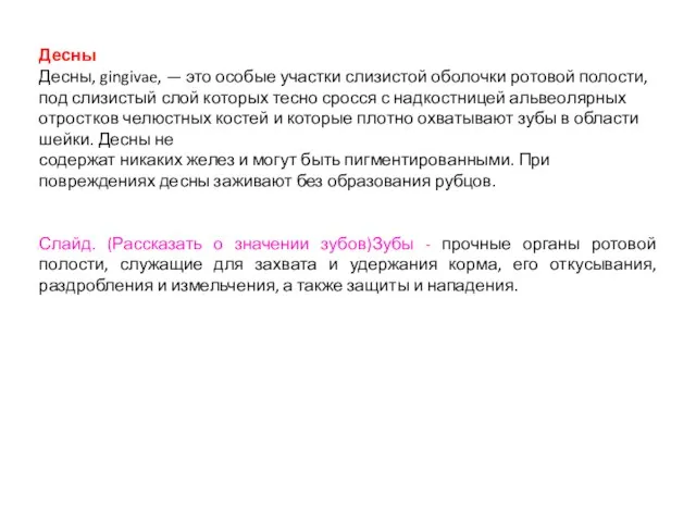 Десны Десны, gingivae, — это особые участки слизистой оболочки ротовой полости,