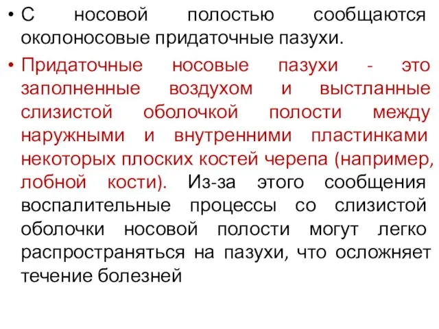 С носовой полостью сообщаются околоносовые придаточные пазухи. Придаточные носовые пазухи -