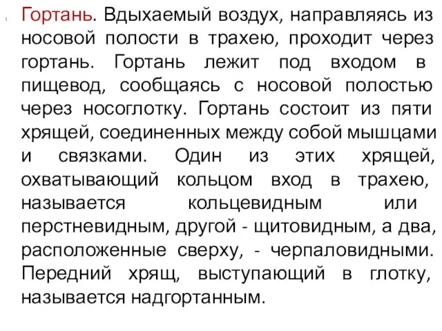 Гортань. Вдыхаемый воздух, направляясь из носовой полости в трахею, проходит через