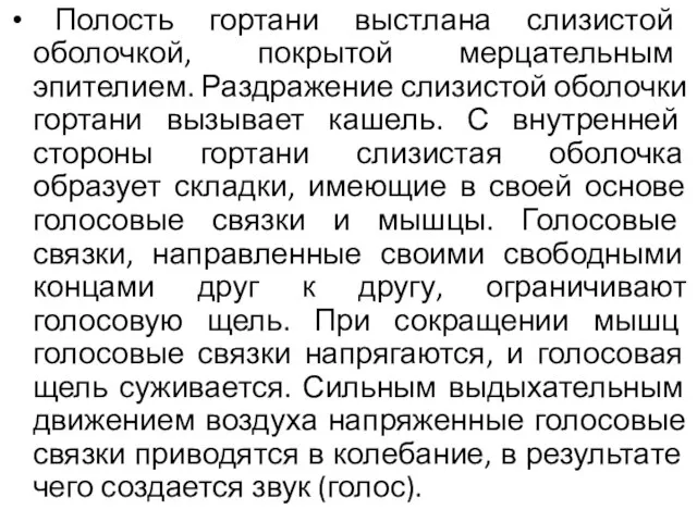 Полость гортани выстлана слизистой оболочкой, покрытой мерцательным эпителием. Раздражение слизистой оболочки