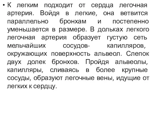 К легким подходит от сердца легочная артерия. Войдя в легкие, она