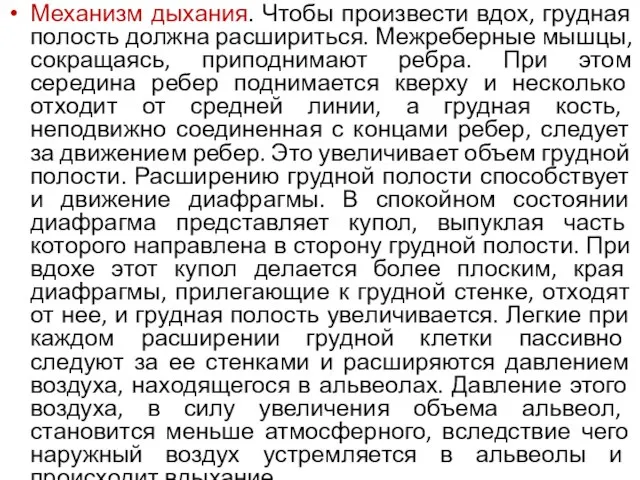 Механизм дыхания. Чтобы произвести вдох, грудная полость должна расшириться. Межреберные мышцы,