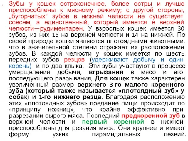 Зубы у кошек остроконечнее, более остры и лучше приспособлены к мясному