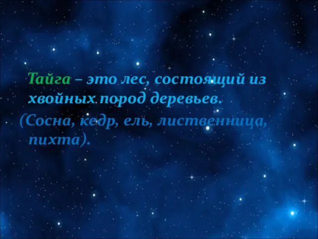 Тайга – это лес, состоящий из хвойных пород деревьев. (Сосна, кедр, ель, лиственница, пихта).