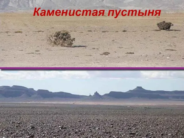 Каменистая пустыня