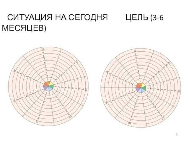 СИТУАЦИЯ НА СЕГОДНЯ ЦЕЛЬ (3-6 МЕСЯЦЕВ)