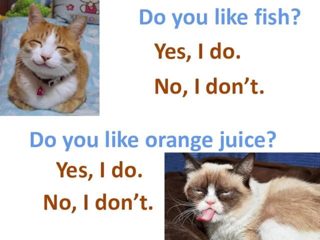 Do you like fish? Do you like orange juice? Yes, I