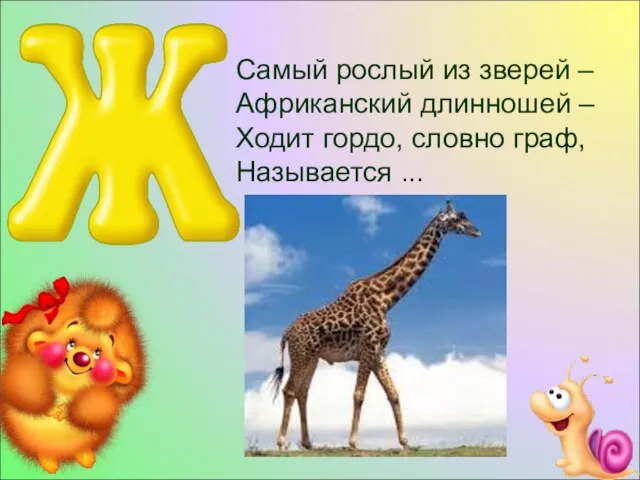 Самый рослый из зверей – Африканский длинношей – Ходит гордо, словно граф, Называется ...