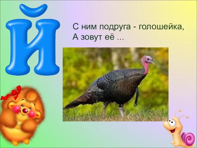 С ним подруга - голошейка, А зовут её ...