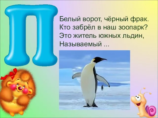 Белый ворот, чёрный фрак. Кто забрёл в наш зоопарк? Это житель южных льдин, Называемый ...