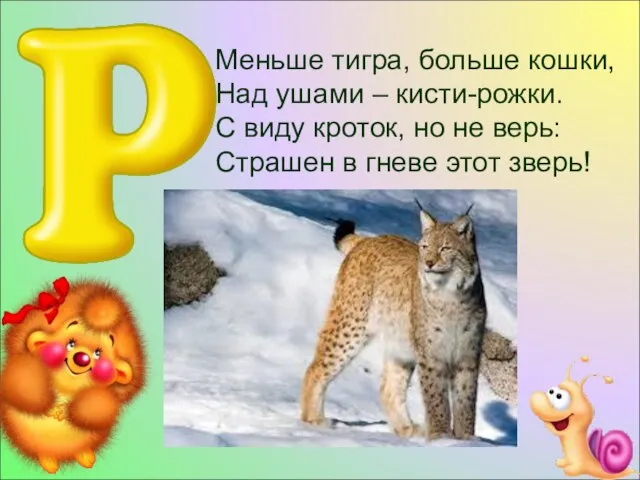 Меньше тигра, больше кошки, Над ушами – кисти-рожки. С виду кроток,