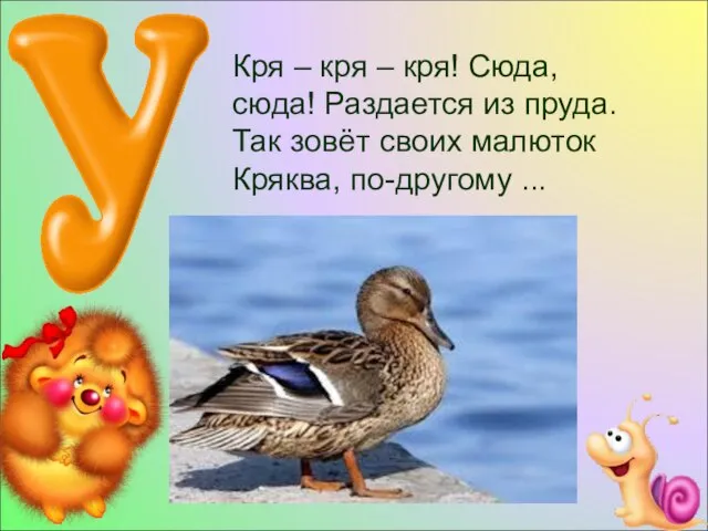 Кря – кря – кря! Сюда, сюда! Раздается из пруда. Так