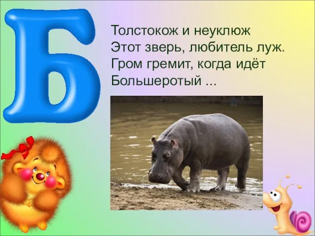 Толстокож и неуклюж Этот зверь, любитель луж. Гром гремит, когда идёт Большеротый ...