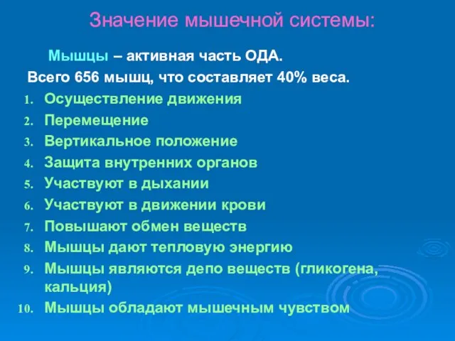 Мышцы – активная часть ОДА. Всего 656 мышц, что составляет 40%